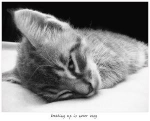 Photobucket - Video and Image Hosting Photobucket - Video and Image Hosting