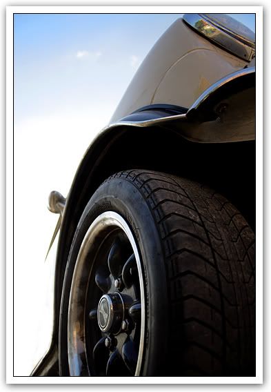Posted Image