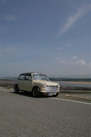 Posted Image