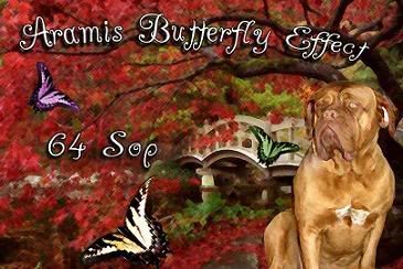 Aramis Butterfly Effect