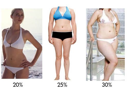http://i16.photobucket.com/albums/b5/Sum41Jon/Other%20Crap/body-fat-percentage-pictures-female.jpg