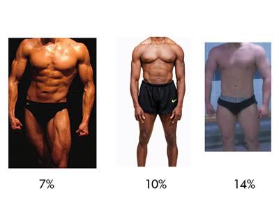 http://i16.photobucket.com/albums/b5/Sum41Jon/Other%20Crap/male-body-fat-percentages-pictures.jpg