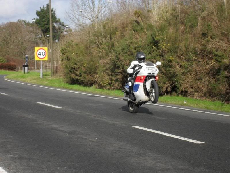 WheelieWide.jpg