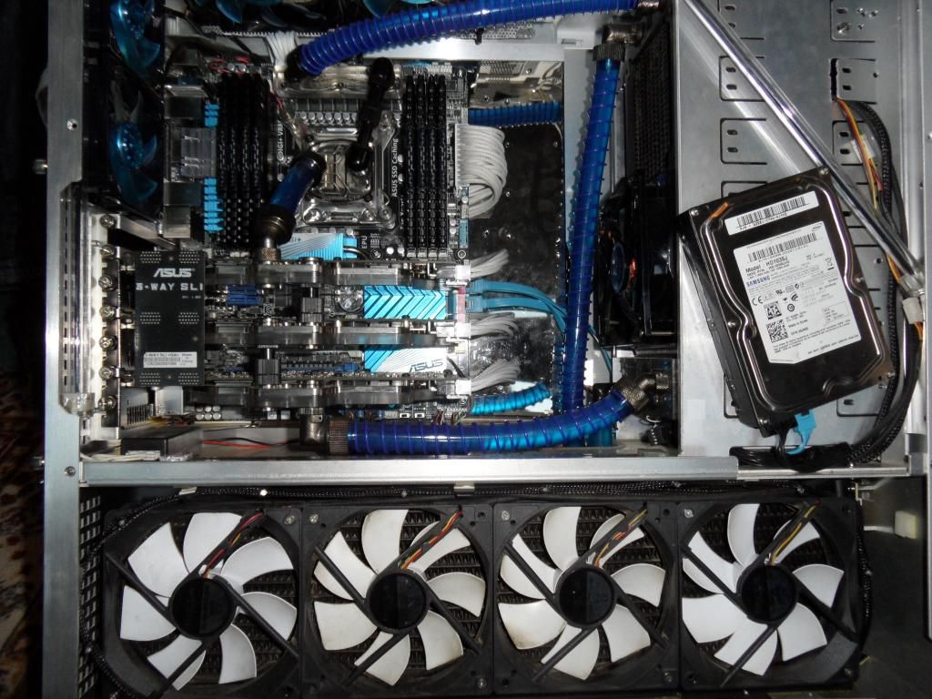 SAM_1000_zpsef7db67d.jpg