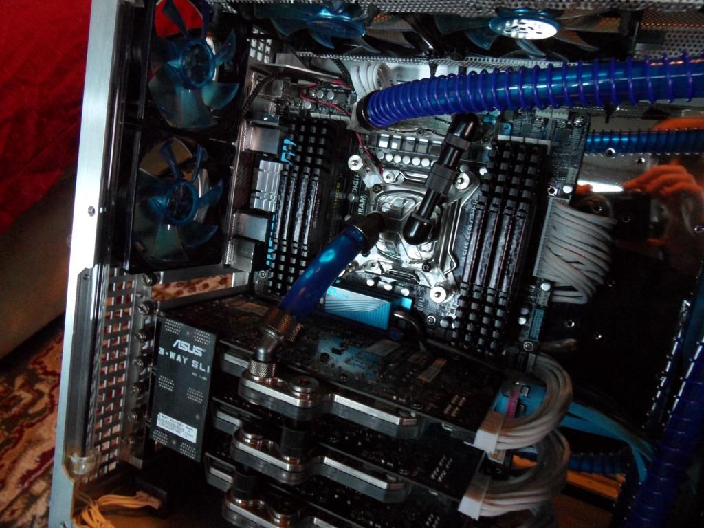 SAM_1003_zps73ec34b9.jpg