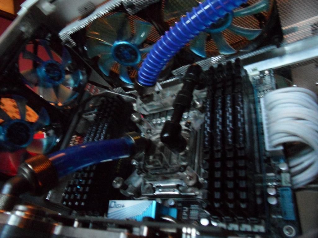 SAM_1007_zpse1525dc6.jpg