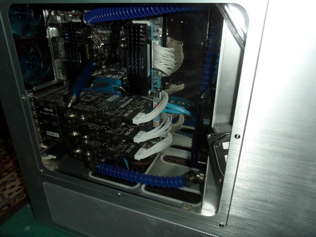 SAM_1010_zps7919c025.jpg