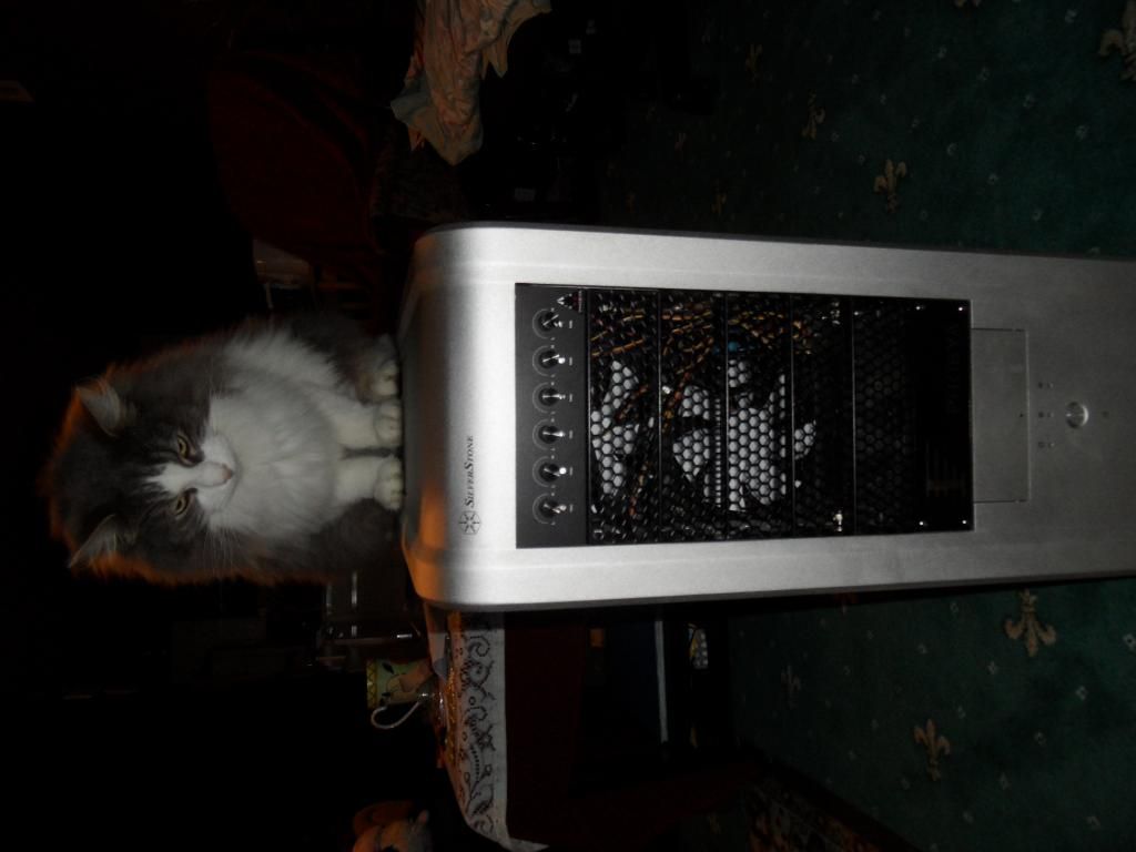 SAM_1022_zpsb6f68526.jpg