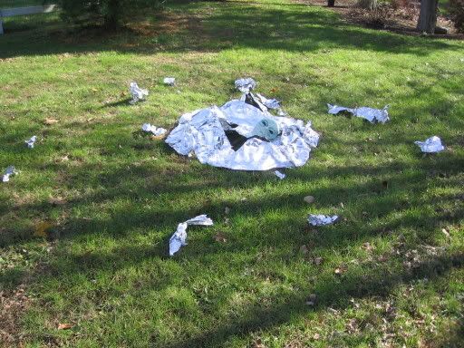 Taylor\'s Alien Crash Pictures, Images and Photos