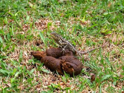 IMAGE: http://i16.photobucket.com/albums/b9/maexx/itsmine.jpg