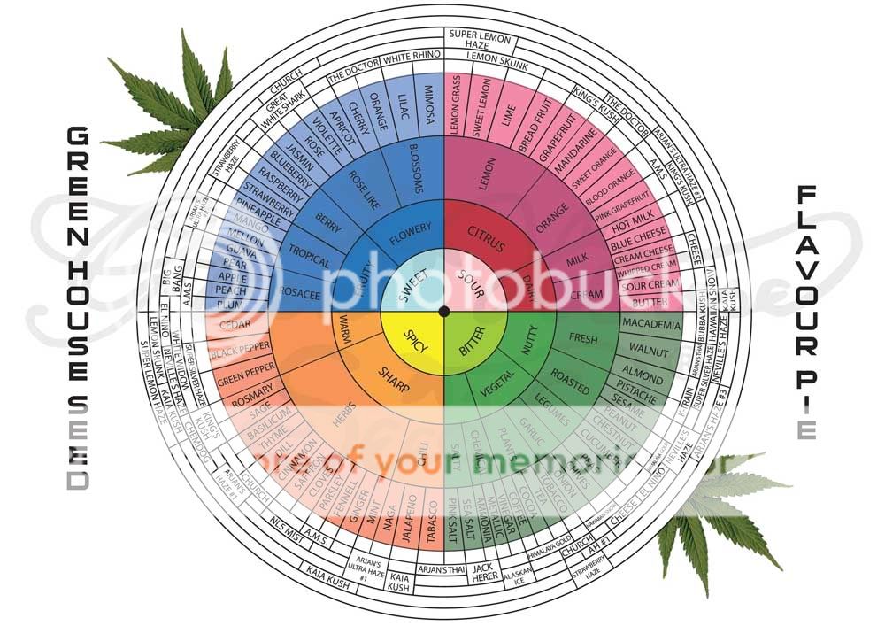 Marijuana Genetics Chart