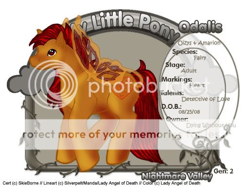 User Image