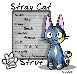 User Image