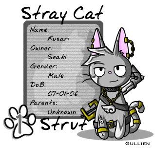 User Image