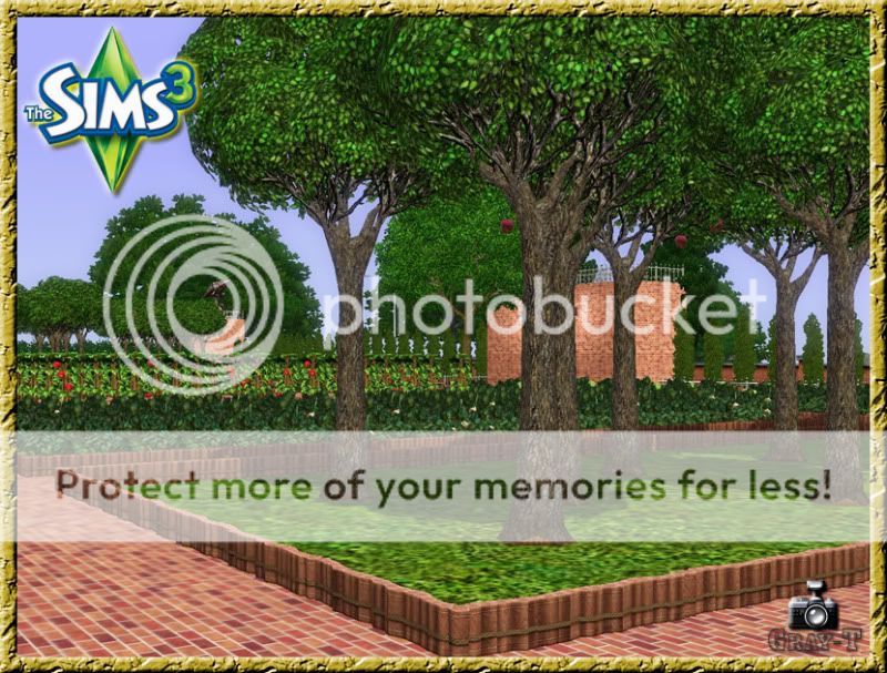 http://i16.photobucket.com/albums/b20/Se-Tka/Constructions%20for%20The%20Sims%203/lot-17-07.jpg