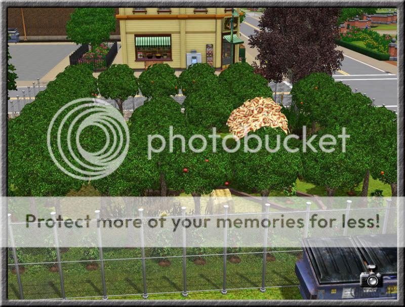 http://i16.photobucket.com/albums/b20/Se-Tka/Constructions%20for%20The%20Sims%203/lot-18-05.jpg