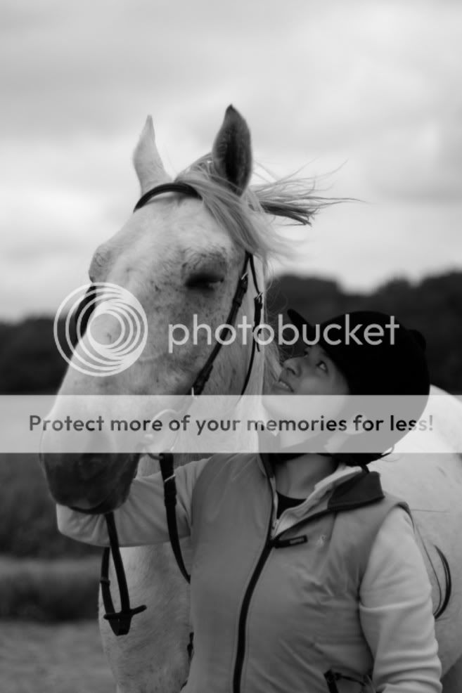 Sort/hvid eller farve ? - Opslag, billeder og video - Heste-Nettet.dk