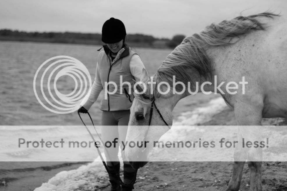Sort/hvid eller farve ? - Opslag, billeder og video - Heste-Nettet.dk