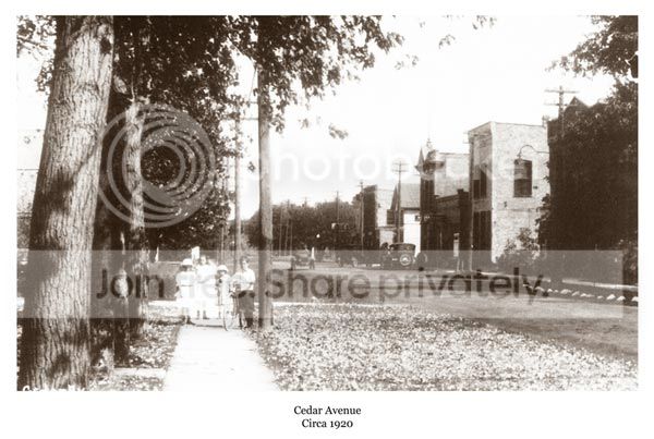 g_1920_cedar.jpg