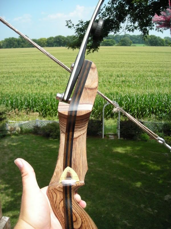 First impression of the Tradtech Pinnacle riser | Archery Talk Forum