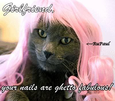 RuPaul kitty
