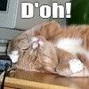 D'oh!