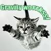 Gravity works