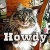 Howdy