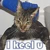 I keel u