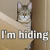 I'm hiding