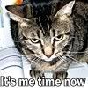 It's me time now