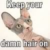 Keep your damn hair on