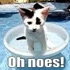 Oh noes!