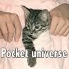 Pocket universe