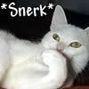Snerk