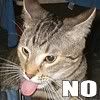 Tongue says NO