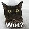 Wot?