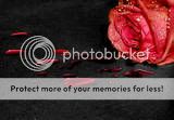 Photobucket - Video and Image Hosting