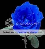 Image hosting by Photobucket