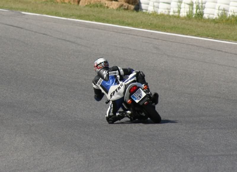 Pegaso1.jpg?t=1177405668