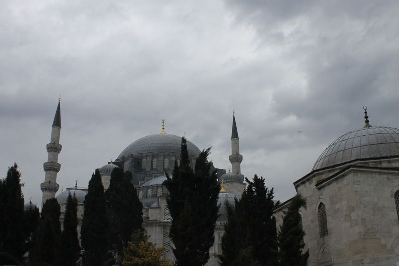 photo IMG_1333_zpsw4qamqnn.jpg